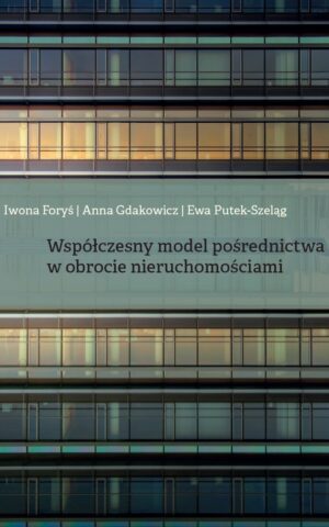 Współczesny model pośrednictwa